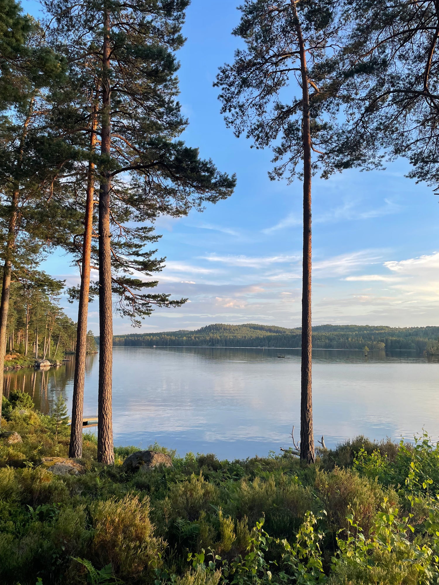 Zicht op Forsvik